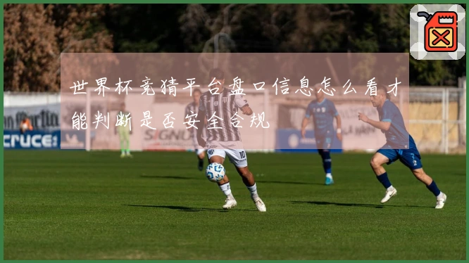 世界杯竞猜平台盘口信息怎么看才能判断是否安全合规